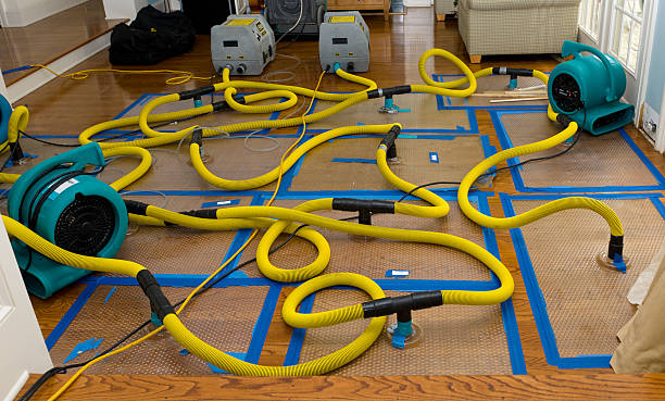 Professional Water Extraction technician working in Rutherford, PA